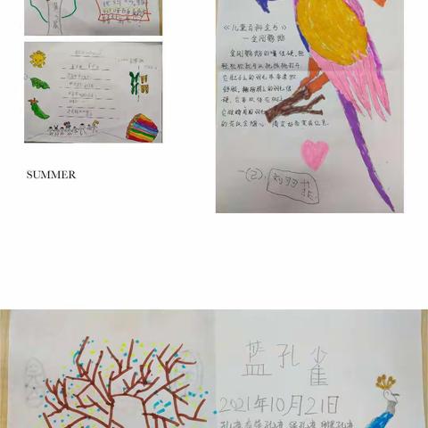 【活动】我是小小阅读家