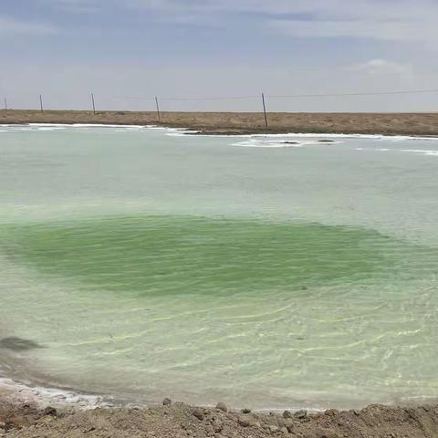 满庭芳 居延海