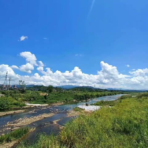 桂岭翠绿山水间