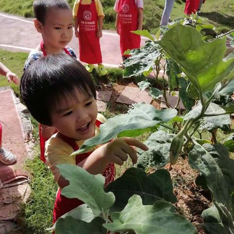 你笑起来真好看，像春天的花一样。