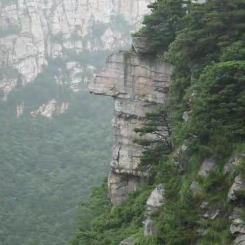 庐山井冈山之旅