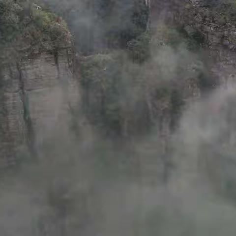 鹏山风光