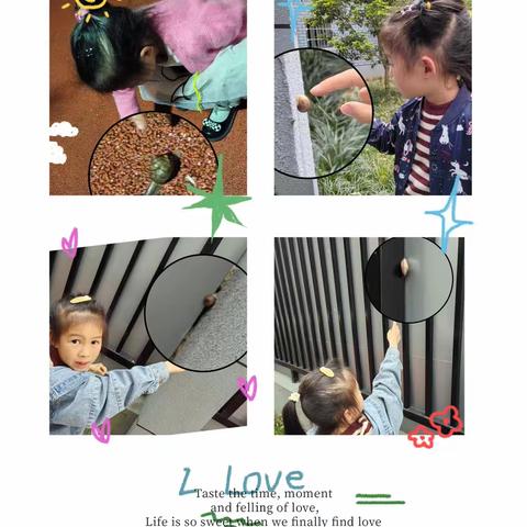 蜗牛🐌的家🏠