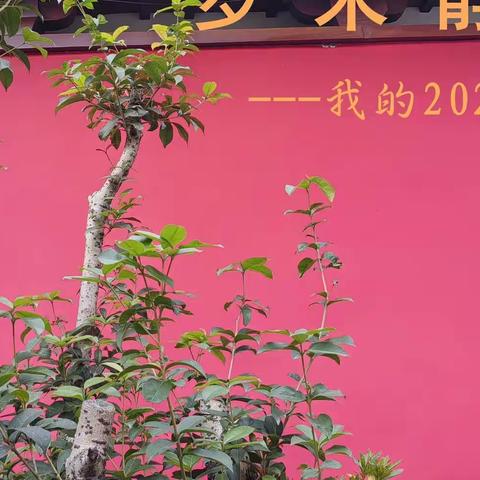 徐晓敏的美篇