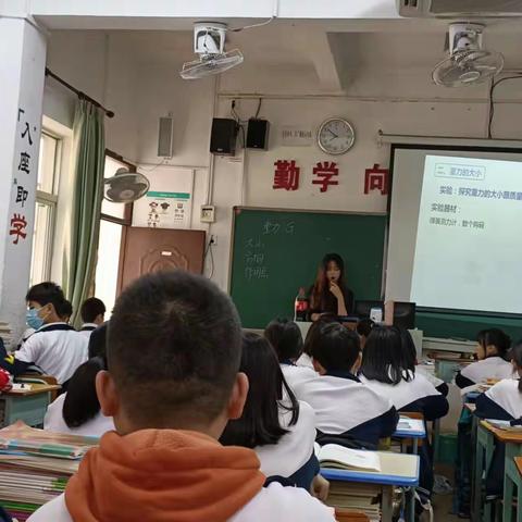 林川桃老师的公开课：来自地球的力