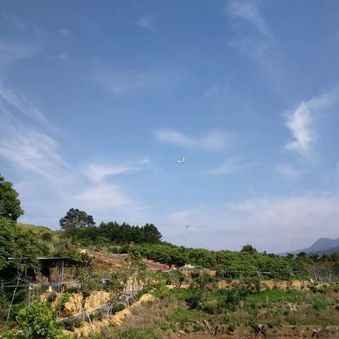 啊,那美如画一般的沐禾山庄，今天我们去体验一下现代化的乡村生活。