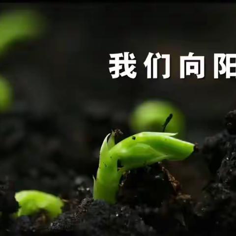 少年自强——蛟龙四班 期中总结