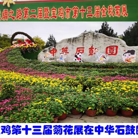 宝鸡第十三届金秋菊花展