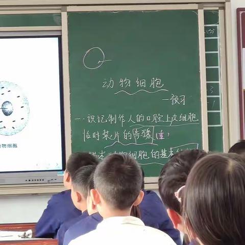 十月的286