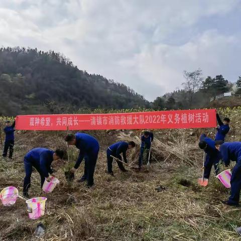 栽种希望 共同成长   清镇市消防救援大队开展2022年义务植树活动