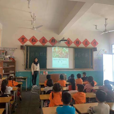 珍惜生命，远离毒蘑菇———旭升学校《预防野生蘑菇中毒》安全教育主题班会