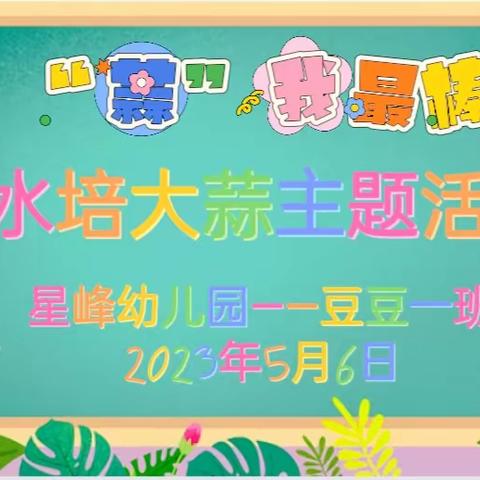 【“蒜”我最棒】 星峰幼儿园豆豆一班  水培大蒜🧄记录美篇