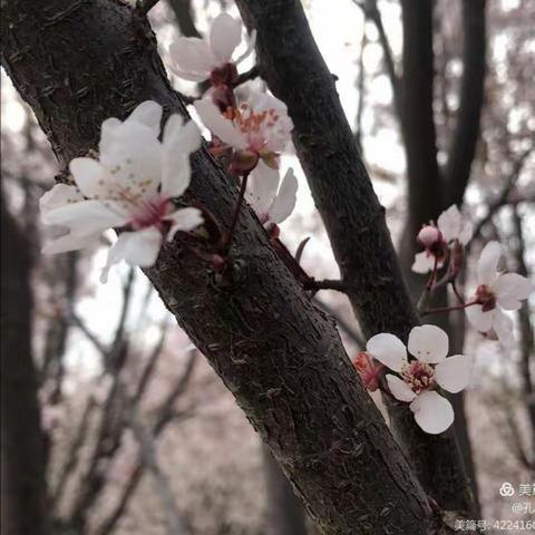 快乐学习，开心成长！东方小学三一班开学周生活学习掠影！