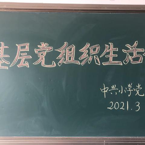 中兴小学党支部——召开基层党组织生活会