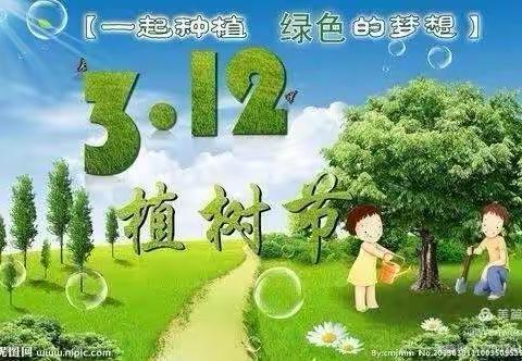 拥抱春天，呵护绿色——爱贝多幼儿园朵朵二班植树节活动