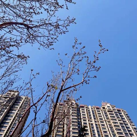 包头恒大天玺物业服务中心3月工作简报