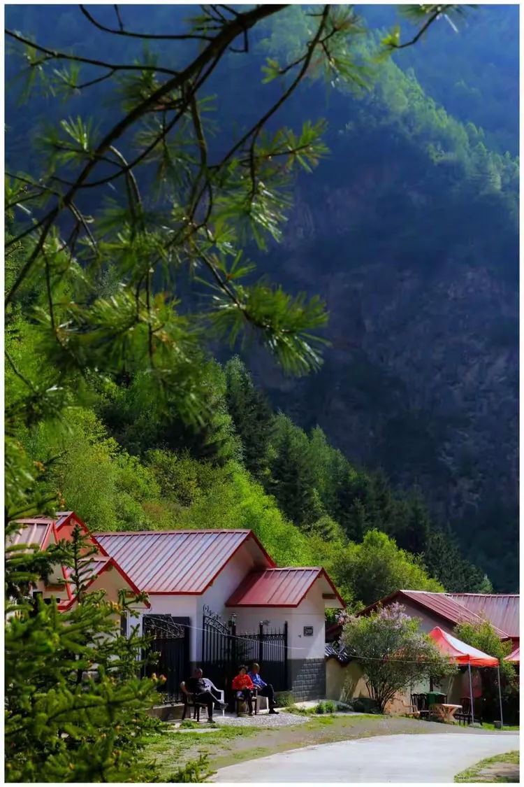 卧牛山森林公园位于武山县城南35公里处,总面积7448公顷,有河流3条