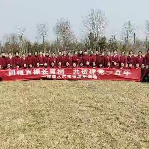 🎉🎉🎉热烈祝贺汶上神墨老师"同植百棵常青树，共贺建党一百年"植树活动圆满结束🎉🎉🎉