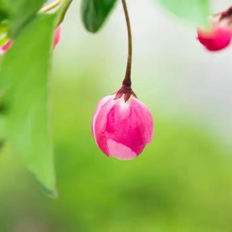 九九重阳节