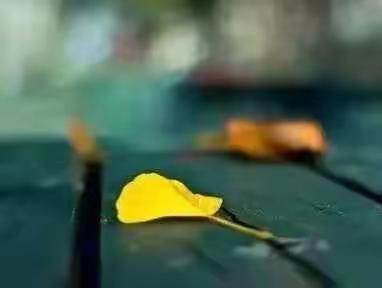 中医情怀