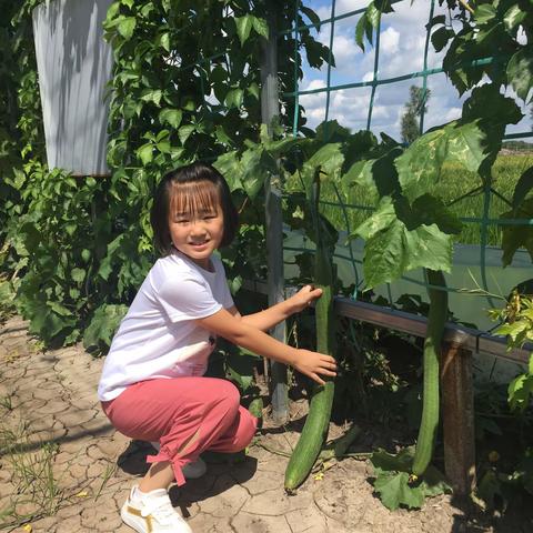 金禾湾一游。2019.8.24