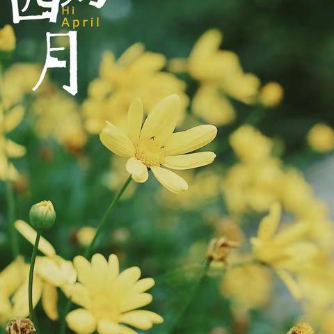 最美人间四月天，不负春光与时行