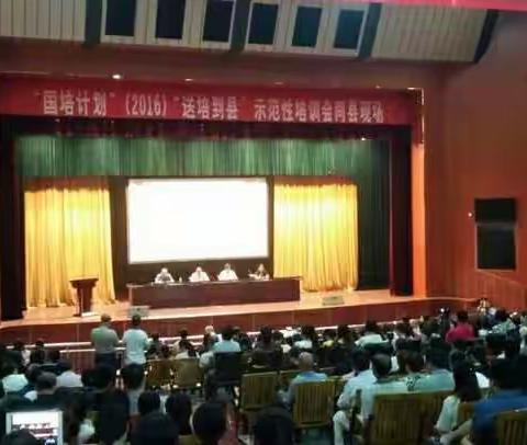 渐入佳境 ------ “国培计划”（2016）“送培到县”会同县小学语文培训现场观摩有感
