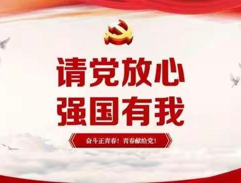 请党放心，强国有我 —— 平城区四十四小学校三三班