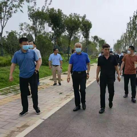 市城管局组织开展中心城区公共绿地环境集中整治攻坚周观摩考评活动