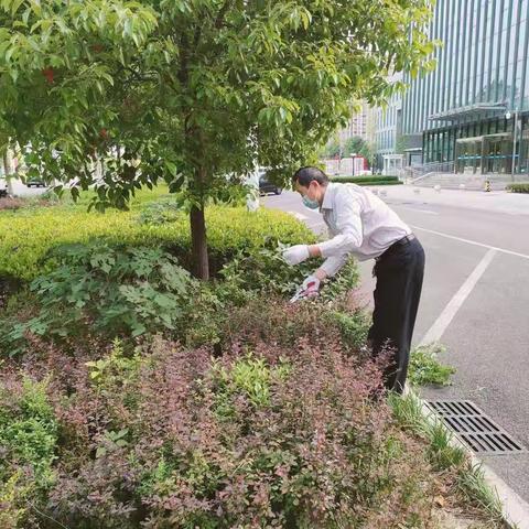 市园林绿化中心再次开展“净绿护绿”义务劳动“揪走”绿化带内垃圾杂物