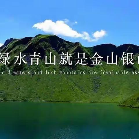 古鲁板蒿中心小学党支部“植树添绿 党旗增辉"义务植树主题党日活动