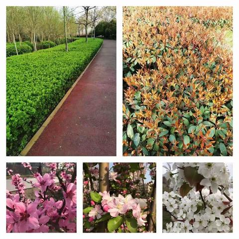 同心协力严防疫，期待花开复学时—————王井中学2020年春季开学第二次防控演练