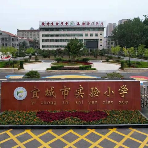 书籍点亮人生 书香溢满校园——我是“宜城实小阅读者”（17）