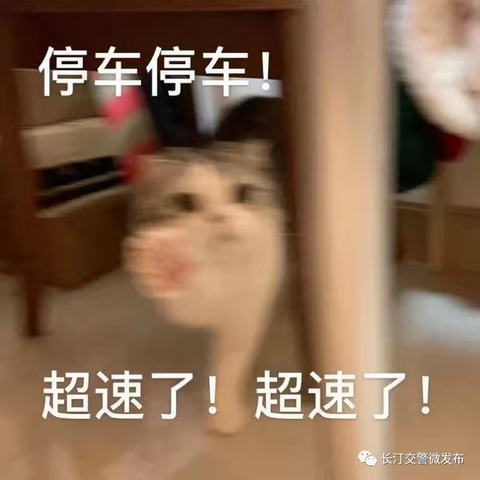 【绥阳镇道路交通打非治违曝光台（第16期）绥阳镇这些驾驶人，你们超速了！