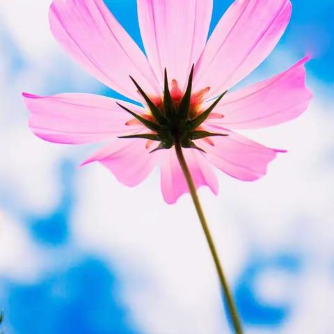 丰县师寨镇宇翔幼儿园秋季招生开始啦！！