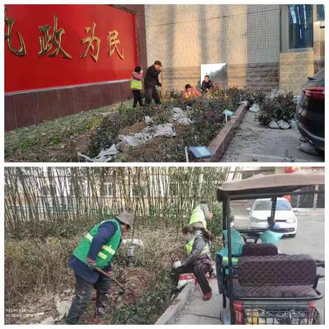 县机关事务中心提升绿化管理水平  优化机关院容院貌