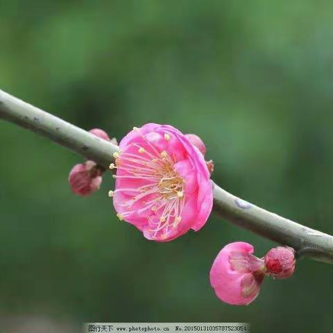 《育英文苑》   第49期   五四班专刊