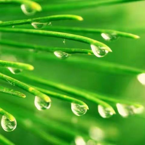 《育英文苑》 第49期  五五班专刊