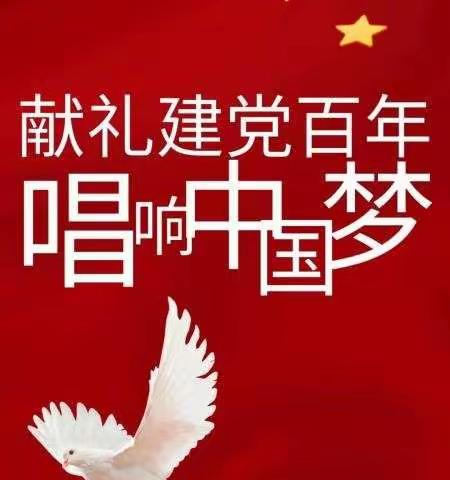 献礼建党百年 凝聚奋斗力量——中共荥阳市索河实验小学党支部活动