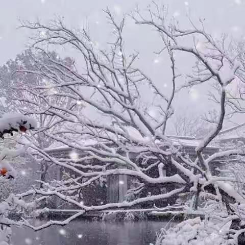 《知节气  迎大寒》—东风小学一年级二班 大寒节气活动