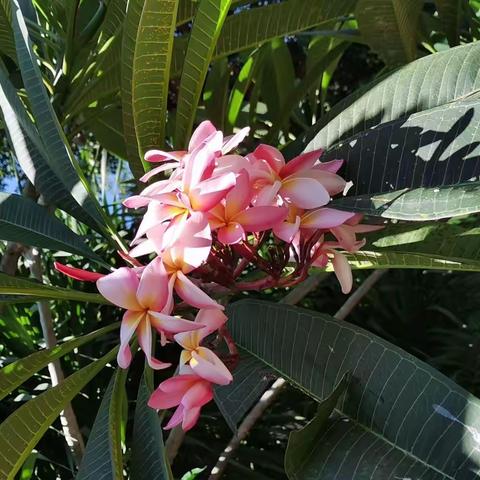 丰收的季节