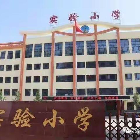 凝心聚力抓常规，严勤细实促成长——实验小学科学常规检查