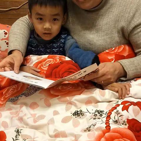 南街幼儿园大一班向文宇亲子阅读