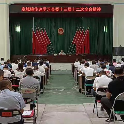 定城镇传达贯彻全县重点工作会议精神并部署近期重点工作