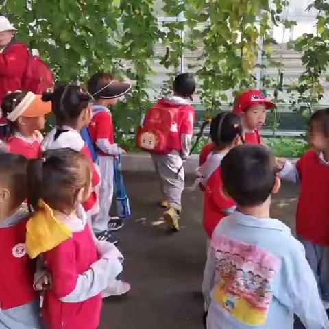 拥抱自然，邂逅秋天——朗学幼儿园谷雨班在西昌市安宁镇五新农创园🌾的秋游小记