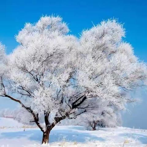 通河县第三小学校园雪雕活动