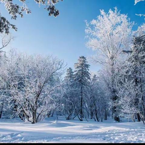 通河县第三小学校园雪雕活动