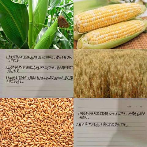 第五大周情感作业