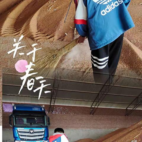 张佩杭第四大周情感作业完成✅