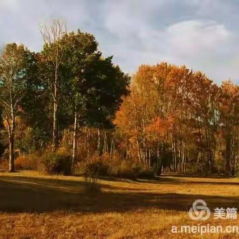 新疆冬季最美的五大湖泊，体验冰雪晶莹的唯美纯净